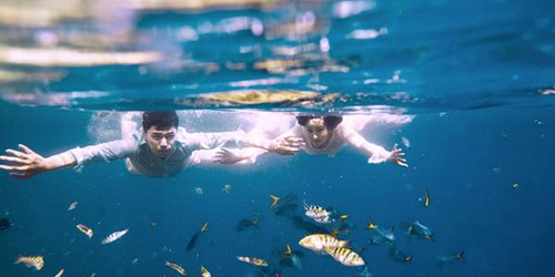 魚(yú)塘情話大全