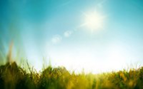 楊樹表白情話（推薦25句）