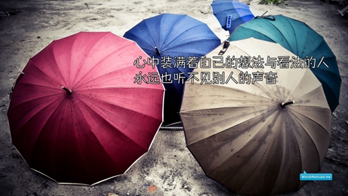 2021年的表白情書(shū)