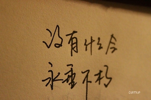 8字情話最暖心短句